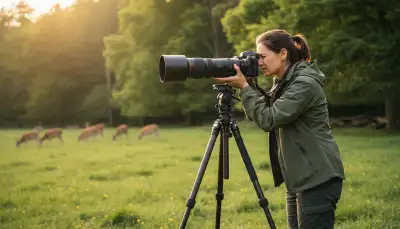 Reichweite erweitern: Telekonverter verstehen