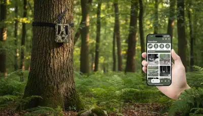 Wildkamera einrichten: Beste Ergebnisse erzielen