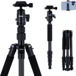 Rollei Compact Traveler No.1 Carbon Schwarz, 145cm Kamera Stativ Leichtes Reisestativ mit Kugelkopf Arca Swiss Kompatibel Kompaktes Fotostativ mit Monopod Funktion Packmaß 34cm für DSLR & Smartphone