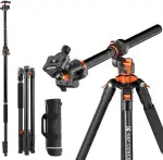 K&F CONCEPT Neues Dreibein Stativ für Kamera, 230cm Professionelles Kamera Stativ mit Neuer Mittelsäule-Konstruktion, abziehbares Einbeinstativ, Tripod für Außen- und Innenaufnahmen T254A7+BH-28L