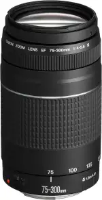 Canon EF 75-300mm F4.0-5.6 III Zoomobjektiv (58mm Filtergewinde) schwarz