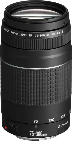 Canon EF 75-300mm F4.0-5.6 III Zoomobjektiv (58mm Filtergewinde) schwarz