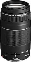 Canon EF 75-300mm F4.0-5.6 III Zoomobjektiv (58mm Filtergewinde) schwarz