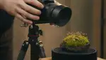 Jenseits der Grenzen: Extreme Makrofotografie