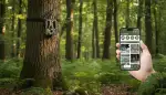 Wildkamera einrichten: Beste Ergebnisse erzielen