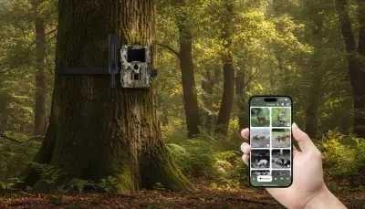 Wildkamera Kaufberatung: Was ist wichtig?